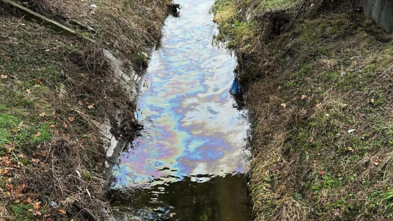 1769603437 ovokzkg9m md