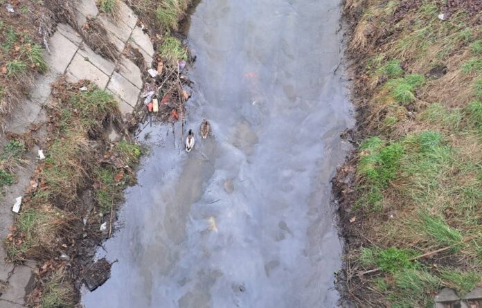 630853186 1222548620017884 5731859087739749410 n