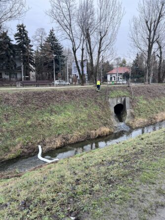 630913985 1222548160017930 1298316528713902924 n