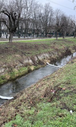 632803045 1222548140017932 909309894640369527 n