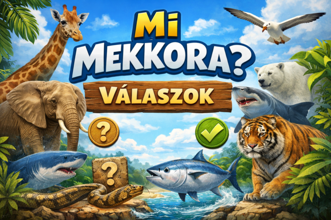 mi mekkora .. válaszok, illusztráció, a kép tulajdonosa bognár géza