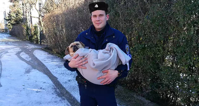Medencébe pottyant kutyát mentettek a szentendrei rendőrök