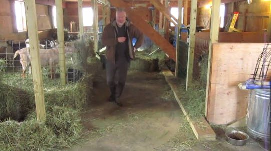 Idős gazdálkodó sokkolja az internetet… meglepő dolgot tesz, a kecskék szeme láttára - VIDEÓ