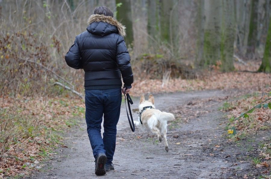 Tényleg bármikor lelőhetik a kutyádat, ha póráz nélkül sétáltatod?