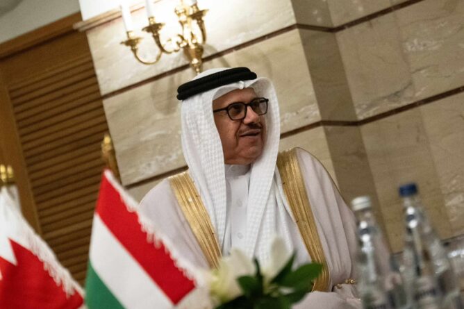 557599810 1328486482077975 4478911713770356962 n