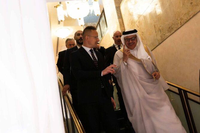 558561499 1328486502077973 7262812326744102842 n