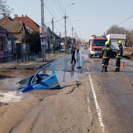 650048678 919911827351948 6476952277357343152 n