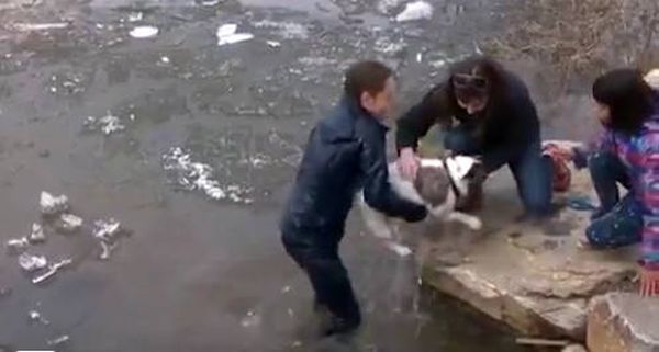 Befagyott tóból mentette ki kutyáját egy férfi – VIDEÓ