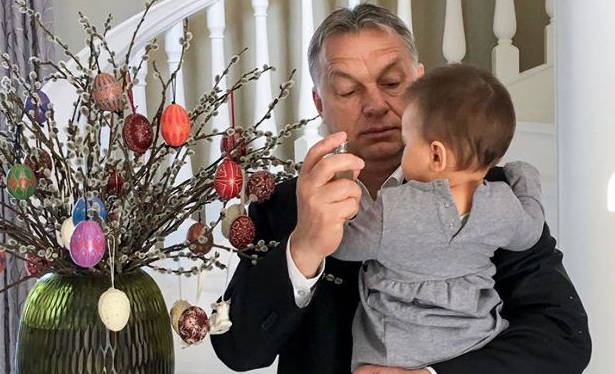 Orbán Viktor kék ibolyát látott... 1