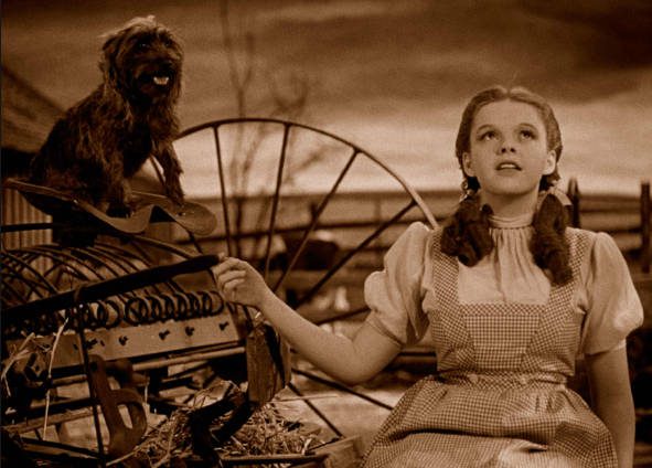Óz Dorothy-ja, Judy Garland