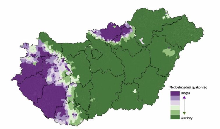 kullancs encephalitis 1024x647