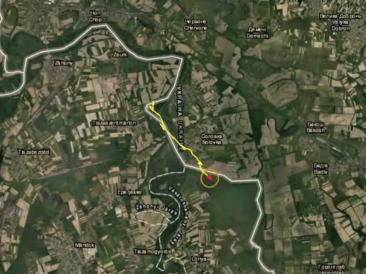 555533900 1149381750708235 3087866653753806100 n