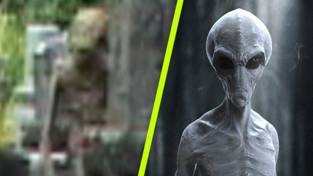 Frászt kapott a fotós: földönkívüli tévedt a kamerája elé a temetőben
