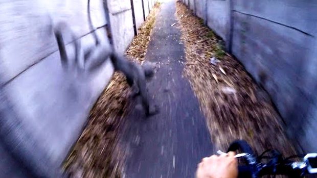 Groteszk lény ugrott egy magyar biciklis elé - a fejkamera mindent vett! - VIDEÓ