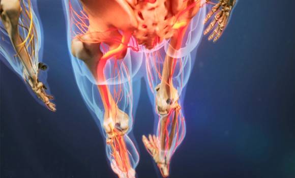 A folytonos lábfájdalom 11 valódi oka, ami mélyen a háttérben van!