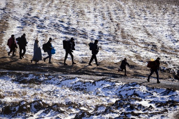 Fokozódik a migránshelyzet a magyar határnál, ez történt éjszaka