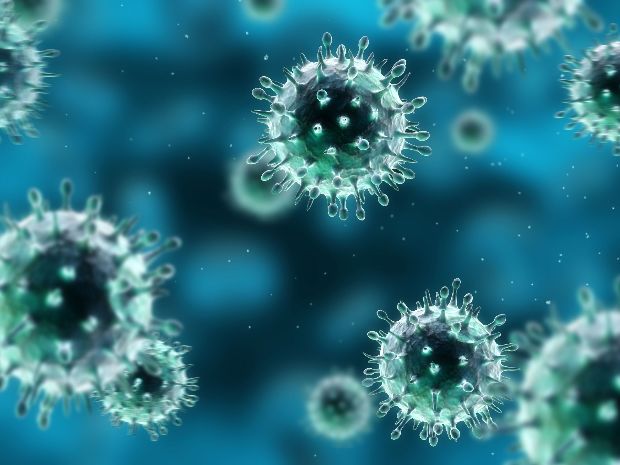 Nagy erővel támad az ausztrál influenza. Magyarországot is fenyegeti 2