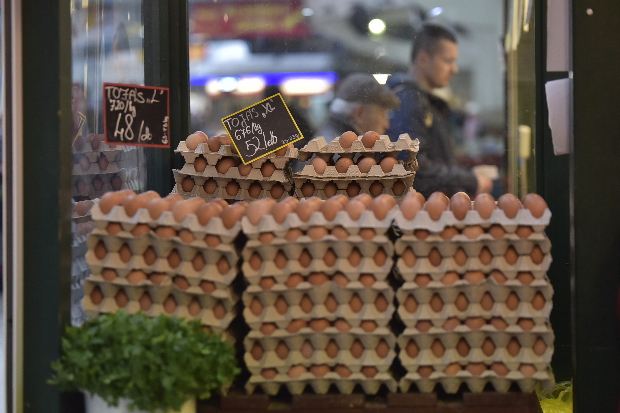 Vérlázító, amit az olcsó tojással művelnek a multik