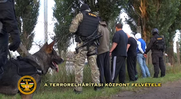 A kutyaviadal szervezőinek elfogása! A Terrorelhárítási Kommandó felvétele! (Nézd meg az állatkínzók tevékenységét! Hirmagazin.eu)