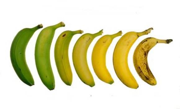 Nem mindegy, hogy barna, sárga vagy zöld! Ilyen banánt egyél, ha fogyózol!