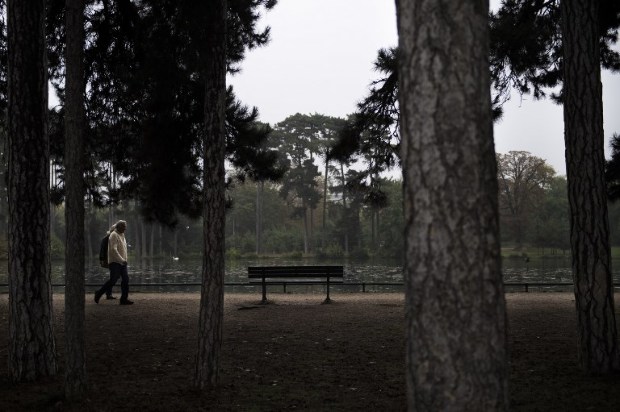 Migránsbandák lepik el a népszerű parkot