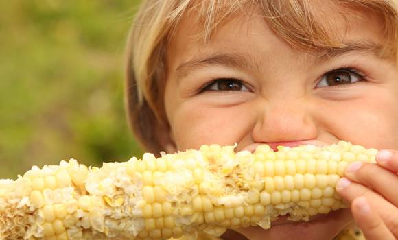 6 sokkoló igazság a kukoricáról, amit nem árt tudni, mert senki nem hívja fel rá a figyelmet!