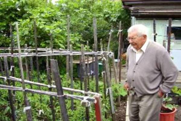Egy idős olasz bácsi egyedül élt New Jerseyben. Egy napon felakarta ásni kertjét…