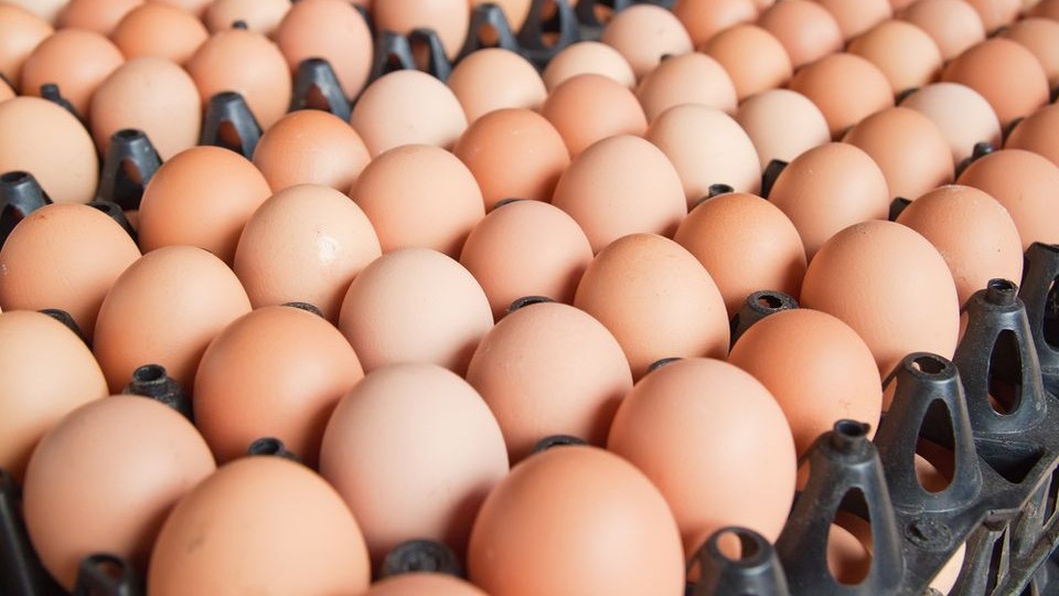 CBA Prima: Korlátozzák a hatósági áras tojás szabad vásárlását. Hirmagazin.eu