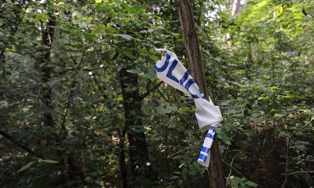 Sokkoló részletek: vaddisznók túrták ki a feldarabolt holttesteket Pilisszentivánon