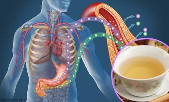 3 gyógyfüves tea, amit ha rendszeresen fogyasztasz nem lesz gond a cukorbetegséggel!