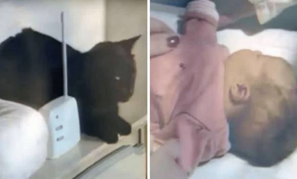 Az anya furcsa macska hangokat hallott a bébiőrön keresztül – Látva a babát azonnal hívta a mentőket