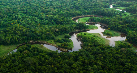 A "világ tüdejének" tartott brazil erdők lassan több széndioxidot bocsájtanak ki, mint kötnek meg a rengeteg erdőtűz miatt. Hirmagazin.eu