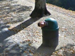 google maps street view man stuck in bin viral image 1405196