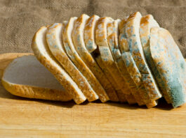 ha penészes kenyérbe harapsz, fűbe harapsz? tények a penészes ételekről