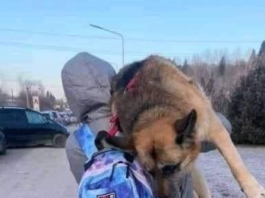 Ukrán menekült idős kutyáját is cipelte menekülés közben. Twitter nyomán, Hirmagazin.eu