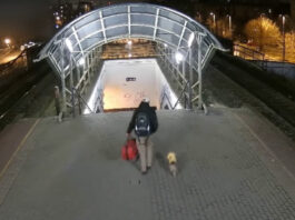 videón, ahogy lenyúlja az ukrajnai menekült táskáit és kutyáját – felismeri?