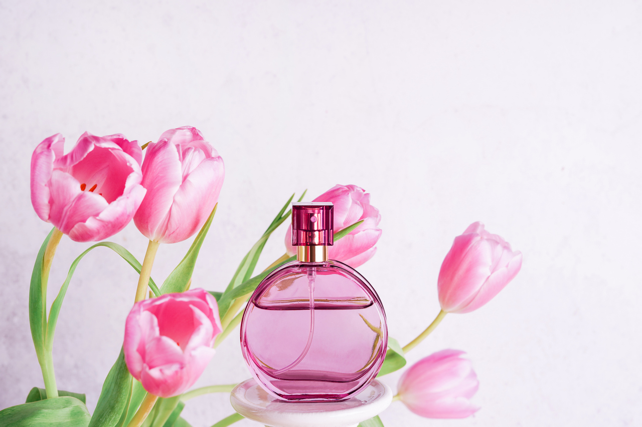 bottle of perfume with flowers pink tulips on white concrete background