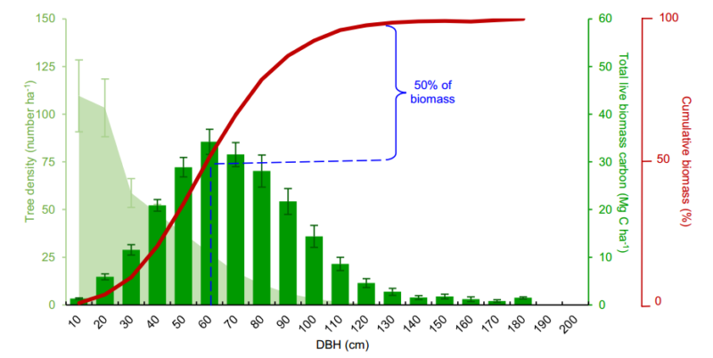 az oreg erdok szenmegkotese europaban sokkal nagyobb mint korabban gondoltuk 3427