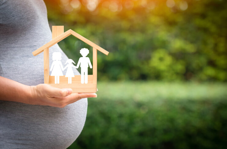 women,is,pregnant,hand,hold,a,wooden,home,with,happy