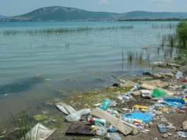 a legszennyezettebb hazai termeszetes vizunkhoz kepest tizedannyi mikromuanyag van a balatonban 3648 1024x576