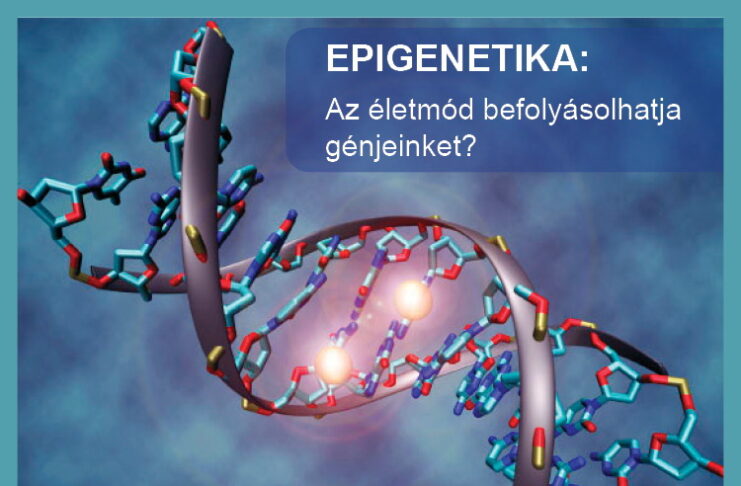 3 epigenetika befolyasolhatja a genjeinket