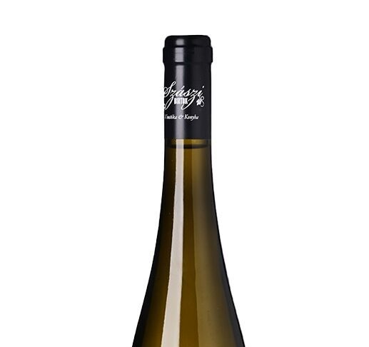 szaszi pinot