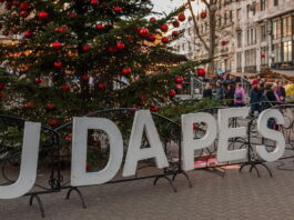 budapest, christmas market