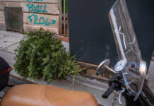 Ötveneter forintig terjedő bírságot kapsz, ha egyszerűen kidobod a karácsonyfádat.. 1736168023 0as07zctc md