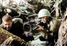 Tigrisek földjén – videó (18+) 45993 1654692686.485