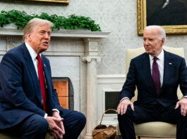 donald trump es joe biden 715124