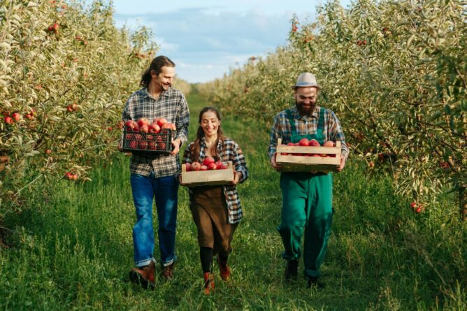 hogyan segitik a vegan feherjek a fenntarthatosagot 2