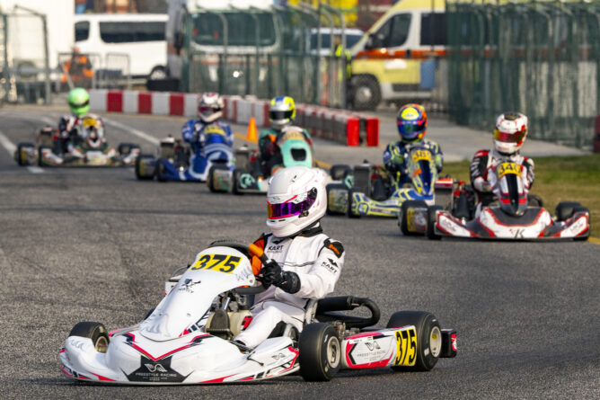 nagy adam cee bonus cup 12