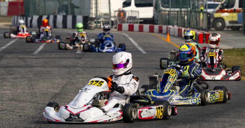 nagy adam cee bonus cup 17