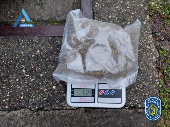 20250325 061050 md 0